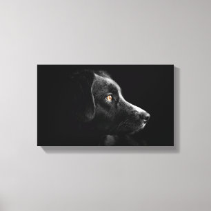 Leinwand aus schwarzem Labrador
