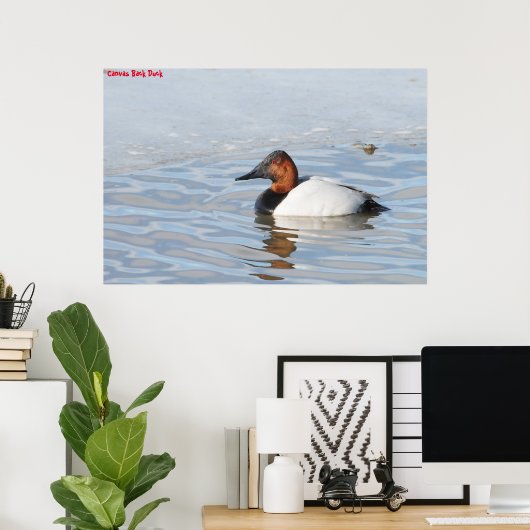 Leinwand Back Duck Poster (Heimbüro)
