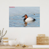 Leinwand Back Duck Poster (Küche)