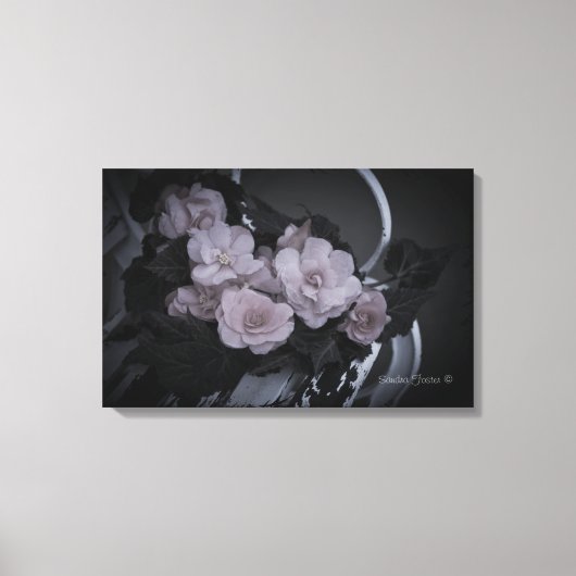 Leinwand Begonias on Bench Garden (Vorderseite)