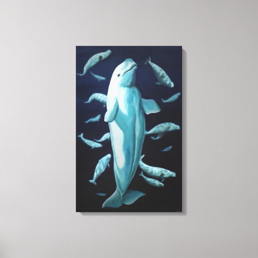 Leinwand Beluga Whales Kunstdrucken (Vorderseite)