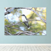 Leinwand Bird Art Print (Insitu (Holzboden))