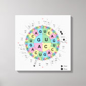 Leinwand Codons Amino Acids Tabelle Genetischer Co (Vorderseite)