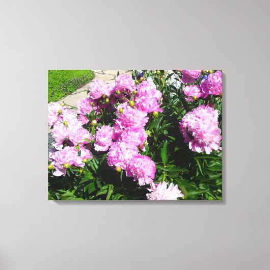 Leinwand der Blume Rosa Rosa (Vorderseite)