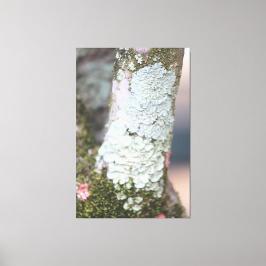 Leinwand der farbenfrohen Natur (Vorderseite)