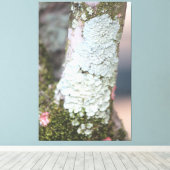 Leinwand der farbenfrohen Natur (Insitu (Holzboden))