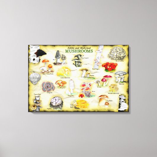 Leinwand der gemeinsamen Namen 30x20 Pilze (Vorderseite)