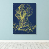 Leinwand der Kopf- und Halsanatomie (Insitu (Holzboden))