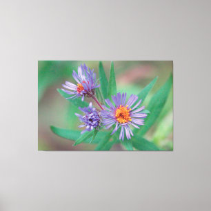 Leinwand der lila Wildblume Kunst