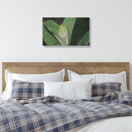 Leinwand der Monarchen-Raupe (Insitu (Schlafzimmer))