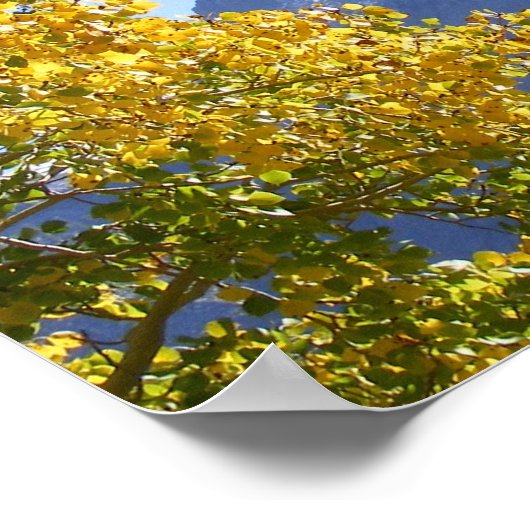 Leinwand der Natur Poster (Ecke)