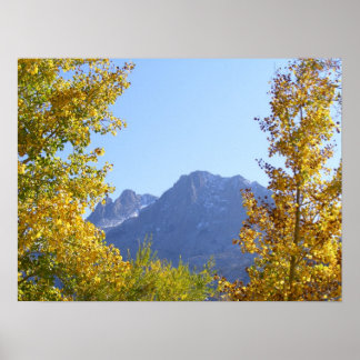 Leinwand der Natur Poster