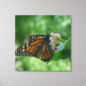 Leinwand der Schmetterlingsmarine (Vorderseite)