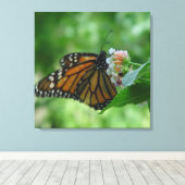 Leinwand der Schmetterlingsmarine (Insitu (Holzboden))