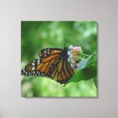 Leinwand der Schmetterlingsmarine (Vorderseite)