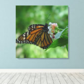 Leinwand der Schmetterlingsmarine (Insitu (Holzboden))