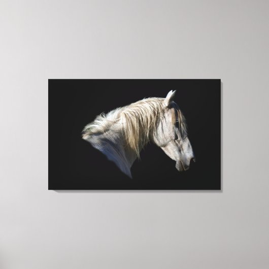 Leinwand des Fotos "White Horse Lover" (Vorderseite)