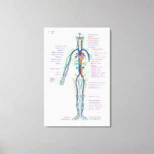 Leinwand Diagramm 
