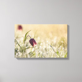 Leinwand drucksvoll - Morgendämmerung