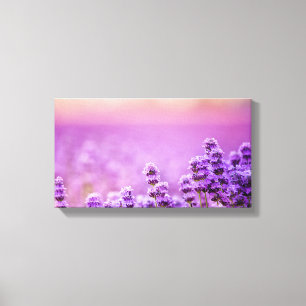 Leinwand - Englisch Lavender Field