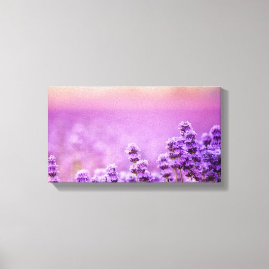 Leinwand - Englisch Lavender Field (Vorderseite)