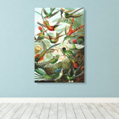 Leinwand Ernst Haeckel Trochilidae Hummingbird (Insitu (Holzboden))