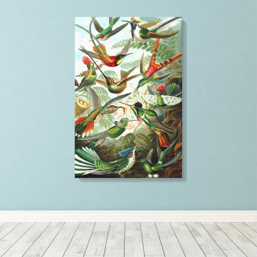 Leinwand Ernst Haeckel Trochilidae Hummingbird (Insitu (Holzboden))