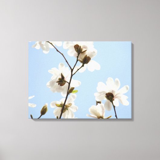 Leinwand Flora Magnolia Tree Kunstdrucke (Vorderseite)