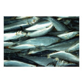 Leinwand Fotodruck (Vorne)