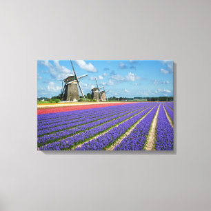 Leinwand für Blume und Windmühlen