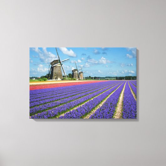 Leinwand für Blume und Windmühlen (Vorderseite)