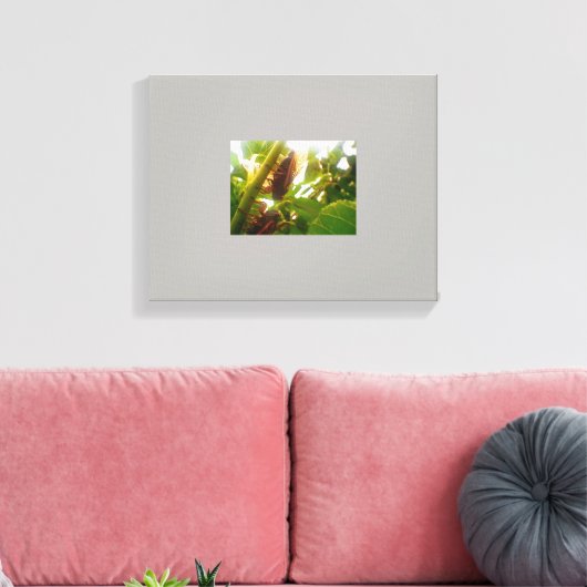 Leinwand für das Land suchen (Insitu (Wohnzimmer))