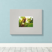 Leinwand für das Land suchen (Insitu (Holzboden))