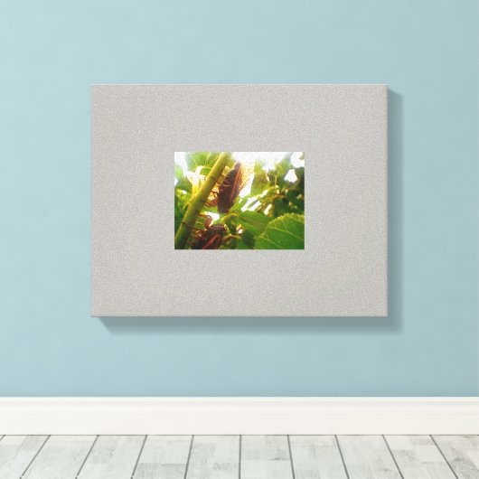 Leinwand für das Land suchen (Insitu (Holzboden))