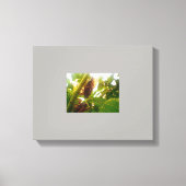 Leinwand für das Land suchen (Vorderseite)