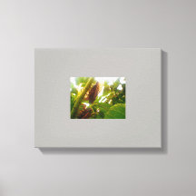 Leinwand für das Land suchen