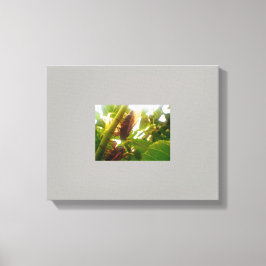 Leinwand für das Land suchen