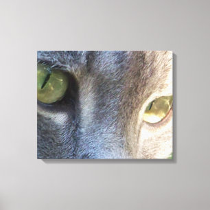 Leinwand für graue Katze