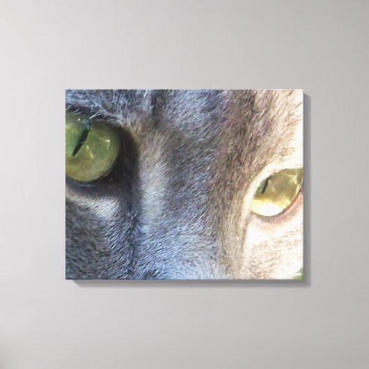 Leinwand für graue Katze (Vorderseite)