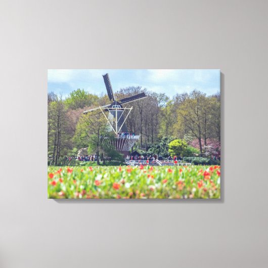 Leinwand für holländische Windmühle und Tulpenfeld (Vorderseite)