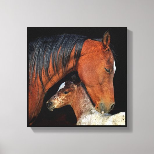 Leinwand für Mare und Fohlen (Vorderseite)