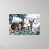 Leinwand für Neugierde (Vorderseite)