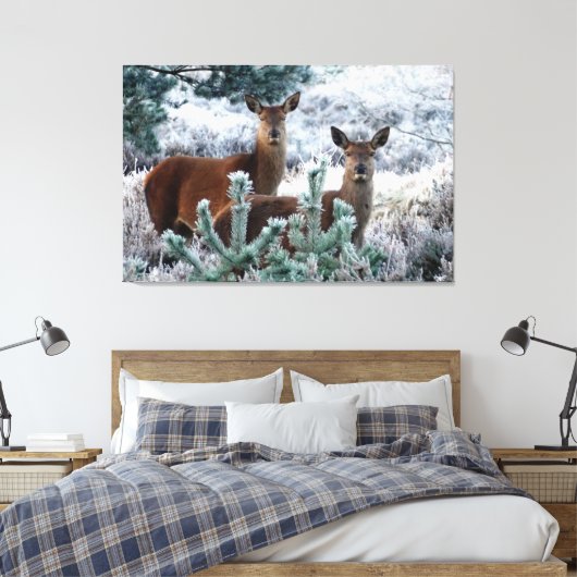 Leinwand für Neugierde (Insitu (Schlafzimmer))