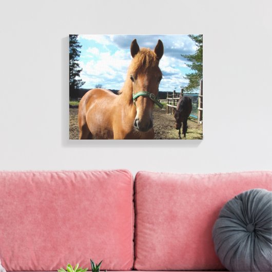 Leinwand für Pferde (Insitu (Wohnzimmer))