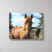 Leinwand für Pferde (Vorderseite)