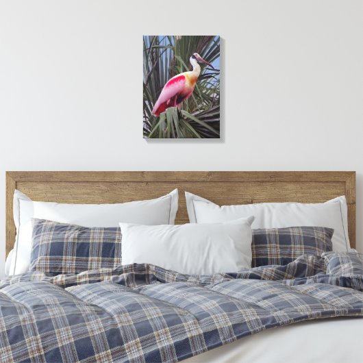 Leinwand für Roseate Spoonbill (Insitu (Schlafzimmer))
