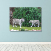 Leinwand für weiße Tiger (Insitu (Holzboden))