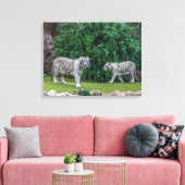 Leinwand für weiße Tiger (Insitu (Wohnzimmer))