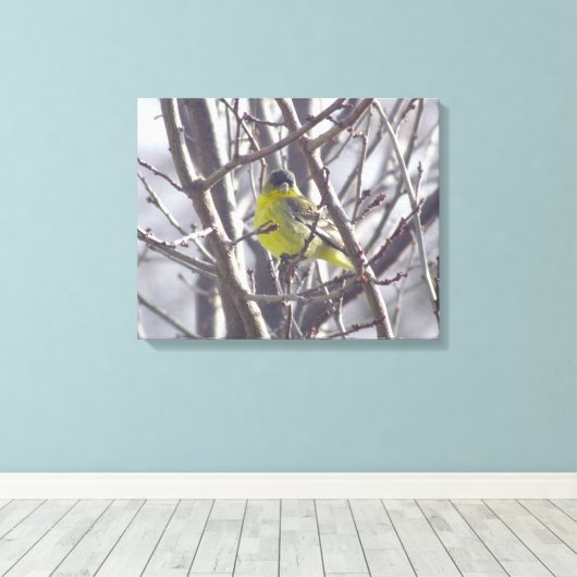 Leinwand - Gelbe Finesse in Winterzweigen (Insitu (Holzboden))