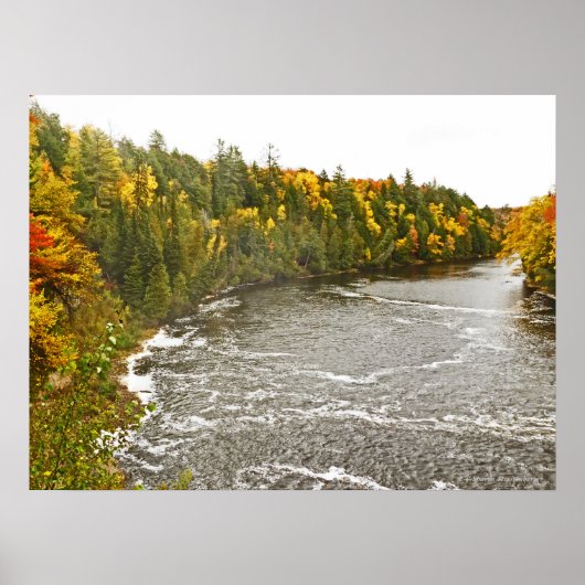 Leinwand-Glanzdruck/TAHQUAMENON-FLUSS/GOLD UND GRE Poster (Vorne)